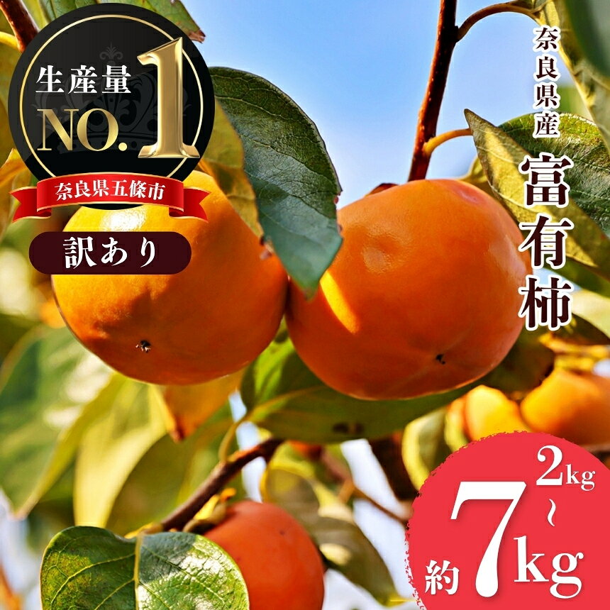 【ふるさと納税】【堀うち農園】訳あり どっさり たねなし柿 選べる内容量 約2kg 約5kg 約7kg | フルーツ くだもの 果物 柿 かき カキ デザート | 奈良県 五條市