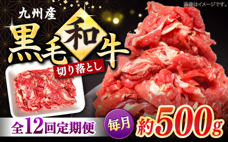 12回定期便 長崎県産 黒毛和牛 切り落とし 500g＜宮本畜産＞CFA052 切り落とし 牛肉切り落とし 切り落とし 牛肉切り落とし 牛肉切り落とし 牛肉切り落とし 牛肉切り落とし 牛肉切り落とし