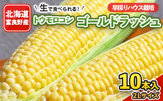 
            2026年先行予約 北海道富良野産　生で食べられるとうもろこし　ゴールドラッシュ　10本入り【1286344】
          