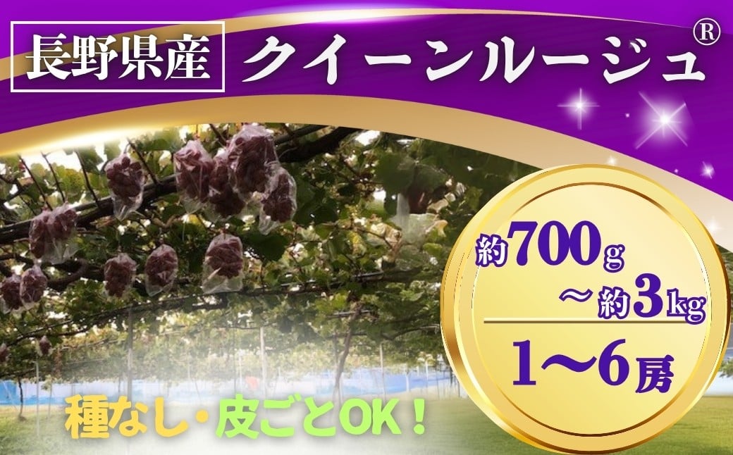 
            【2026年先行予約】ぶどう クイーンルージュ® 約700g~約3kg 長野県オリジナル品種｜ 果物 フルーツ 赤ぶどう 葡萄 ブドウ 種無し 種なし 皮ごと 千曲市 長野県 信州
          