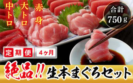 【定期便4回】冷蔵でお届け！人気の生本マグロ堪能セット（柵どり） 計750g × 4回お届け （毎月お届け）