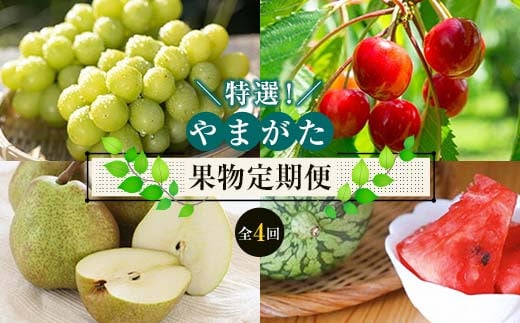 《先行予約 2025年度発送》やまがた果物定期便 特選！（全4回） FSY-0528