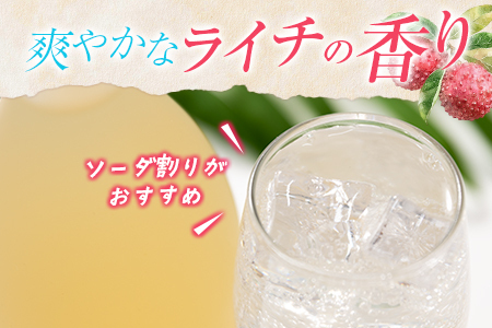 酒 リキュール 産地めぐり ライチ お酒 720ml 2本 B699