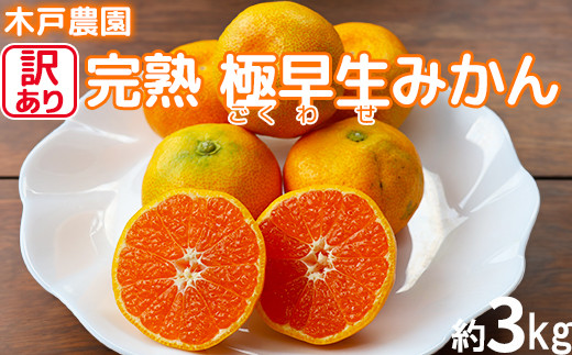 
                  【訳あり品】完熟極早生みかん！木戸農園の「おおいた早生 約3kg」 ミカン みかん 柑橘 3kg 先行予約 10月 11月 フルーツ 温州 年内発送 ＜113-013＞
                
