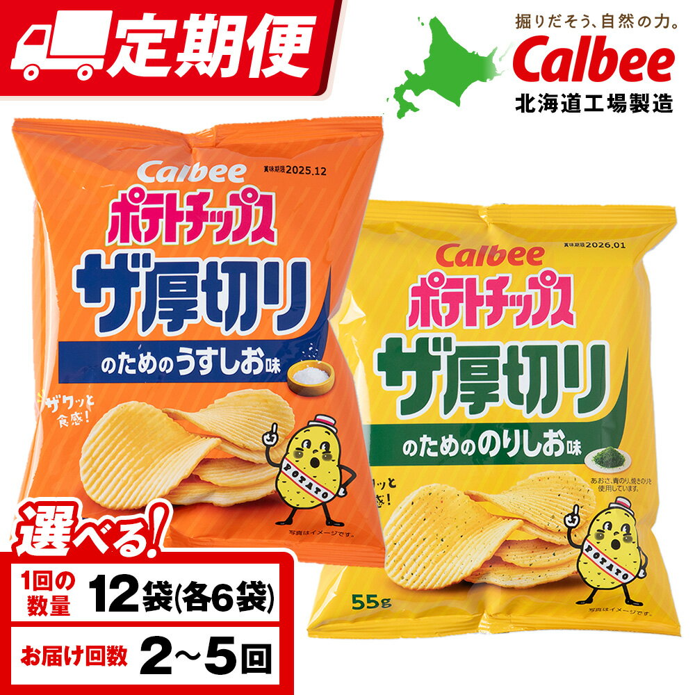 【ふるさと納税】【選べる定期便】ザ厚切りのための 2種セット うすしお・のりしお 各6袋 カルビー ポテトチップス 《千歳工場製造》スナック お菓子 北海道 千歳 ポテチ ポテトチップス 北海道ふるさと納税 千歳市 ふるさと納税 ギフト ふるさと納税