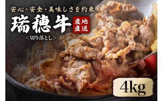 瑞穂牛切り落としセット 約4kg  ho1450