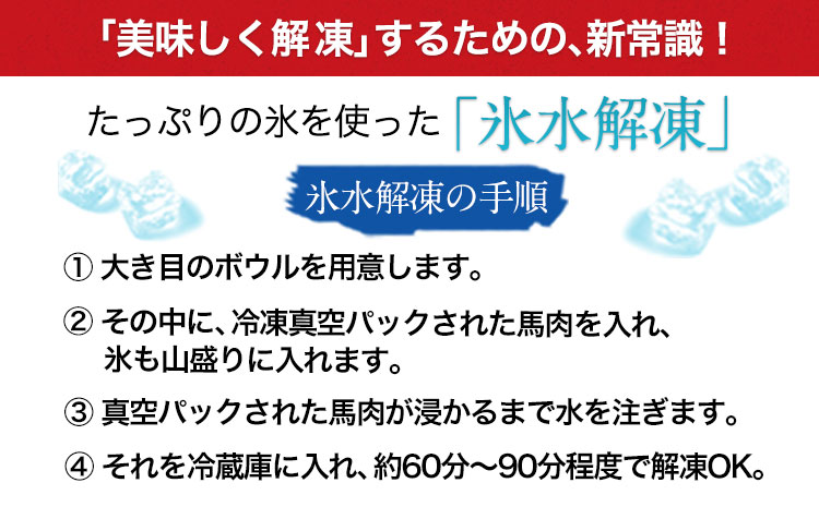 馬刺し 上赤身 ブロック 国産 熊本肥育 冷凍 生食用 たれ付き(100g×2)＋たてがみセット(50g×1) 肉 期間限定 絶品 熊本県大津町《90日以内に出荷予定(土日祝除く)》