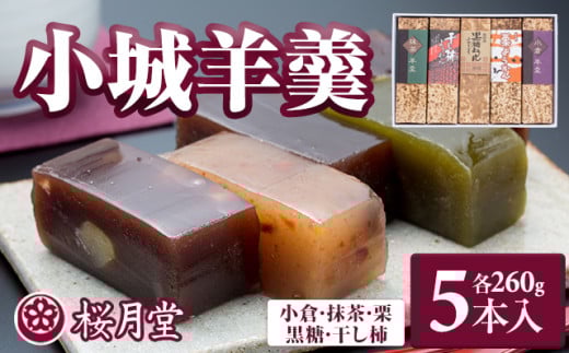 小城羊羹 煉りようかん ５本セット（260g×5）桜月堂（おうげつどう）詰め合わせ 父の日 母の日 敬老の日 お茶 スポーツ ようかん