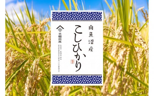 【ふるさと納税】【令和７年産新米予約】南魚沼産コシヒカリ １０ｋｇ　塩沢産コシヒカリ【2025年10月中旬より順次発送予定】