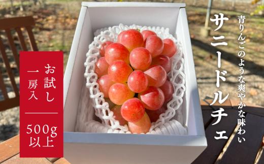 希少品種 爽やかな甘みのサニードルチェ（お試し１房500ｇ~） (岡山県産)【KF-B051-01】