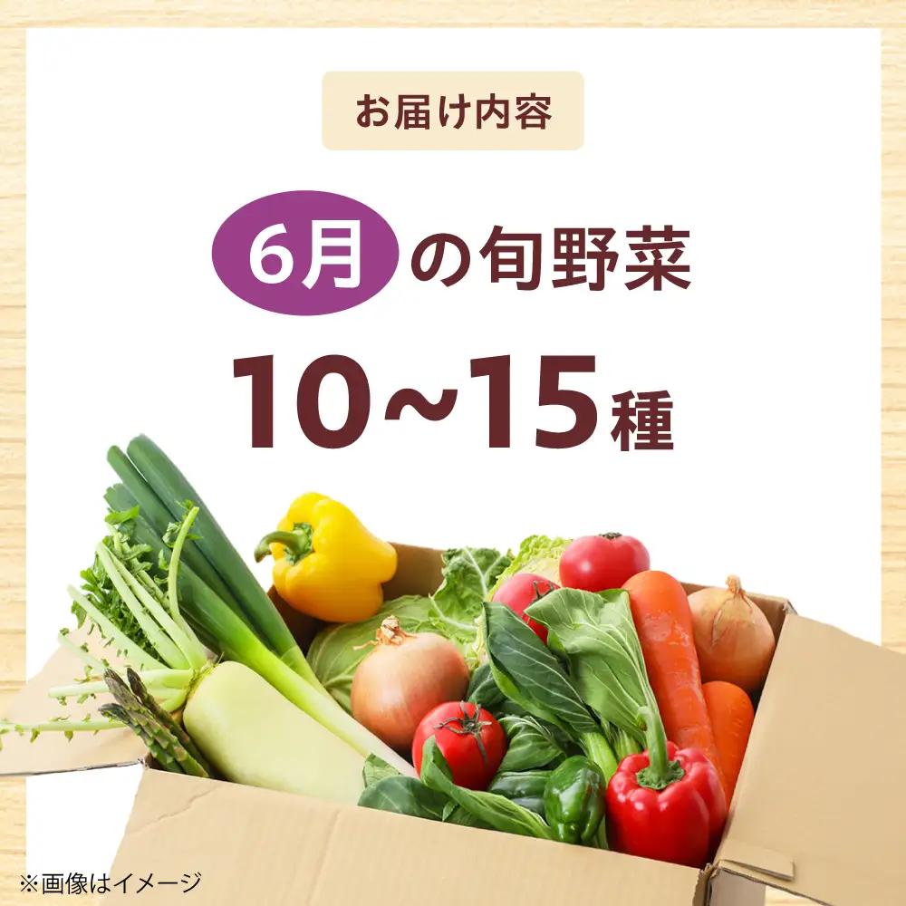 高槻野菜おまかせ詰め合わせセット 6月（10種〜15種）[AOCS012] 野菜セット