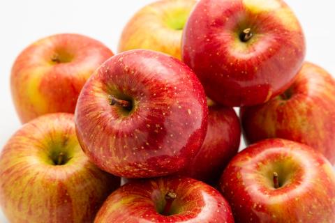 【2026年2月上旬発送】 りんご 5kg サンふじ 王林 他 紅白 詰め合わせ 青森