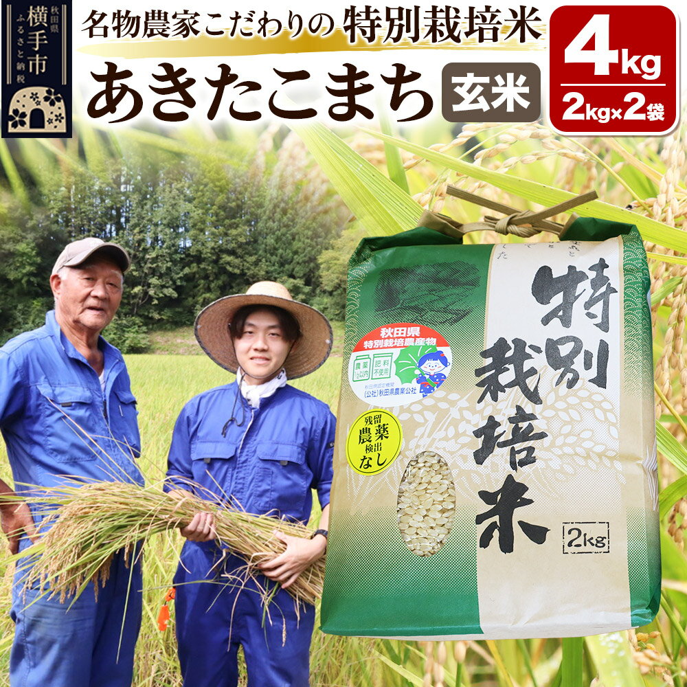 【ふるさと納税】【玄米】【令和7年産】名物農家こだわりの特別栽培米 あきたこまち 4kg（2kg×2袋）