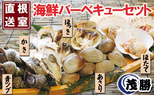 A-04004【北海道根室産】海鮮バーベキューセット(ほたて、ほっき貝、かき、青ツブ、あさり）ふるさと納税 ホタテ 帆立 ほたて 海鮮 