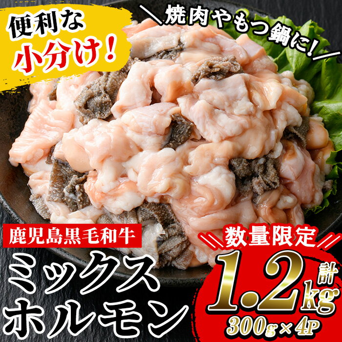 【ふるさと納税】≪数量限定・小分けタイプ≫黒毛和牛ミックスホルモン(計1.2kg・300g×4P) 牛肉 焼き肉 ほるもん ホルモン炒め モツ もつ 内臓 国産 九州 鹿児島県産 肉 和牛 牛 小分け こわけ 便利 贈答品 ギフト【バクロ】