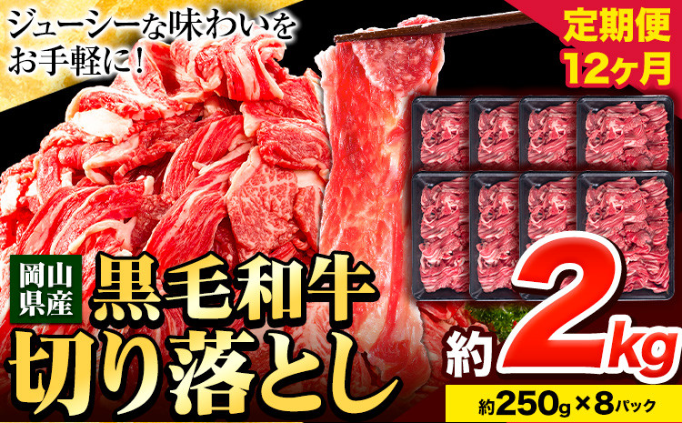 
            牛肉【12ヶ月定期便】 肉 黒毛和牛 切り落とし 訳あり 大容量 小分け 2kg 1パック 250g 定期便《お申込み月翌月から出荷開始》岡山県産 岡山県 笠岡市 お肉 にく カレー 牛丼 切り落し 切落し
          