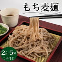 【ふるさと納税】 麺 もち麦麺 5PC もち麦 国産 阿波市 徳島県