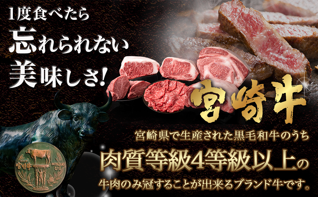 宮崎牛ローススライス(500g)_MJ-N401