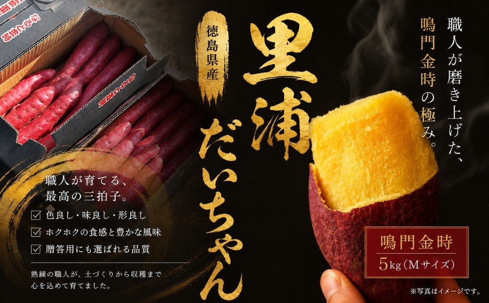 
                  【予約受付中・2026年10月下旬頃より順次発送】鳴門産 さつまいも 『 里浦だいちゃん 』 5kg | なると金時 甘い ホクホク スイーツ 焼き芋 干し芋 天ぷら サラダ けんぴ きんつば
                