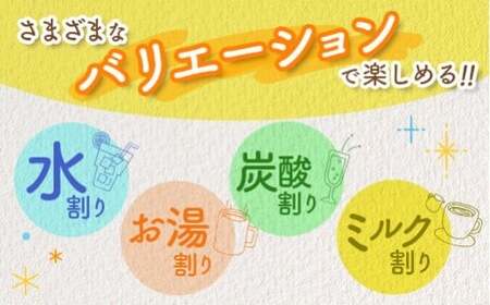 クラフト酵素シロップ グリーンパパイア 250ml×3個 宮崎県産