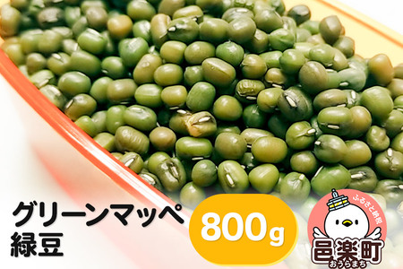 グリーンマッペ（緑豆）800g×1袋 サイトウ・コーポレーション 飼料