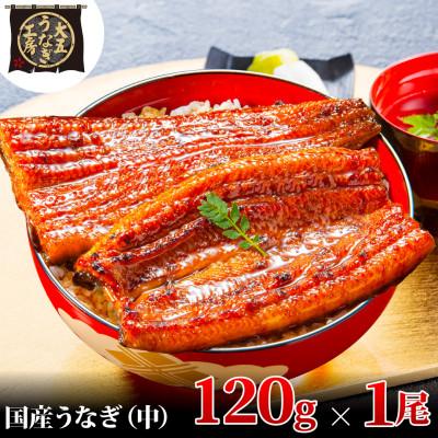 ふるさと納税 島田市 先行受付　【6月上旬より配送】　大五のうなぎ蒲焼　120g×1尾　国産うなぎ(中サイズ)