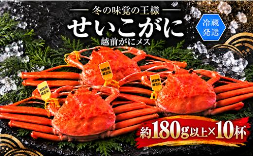 【冷蔵発送】＼早期予約開始／越前がに（メス）「せいこがに」 大サイズ 180g前後 × 10杯
