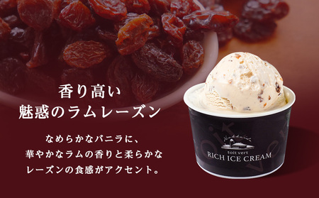【定期便3ヶ月】リッチアイスクリーム 香り高い魅惑のラムレーズン　8個セット（100ml）