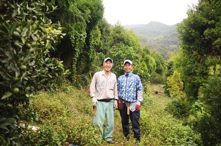 【栽培期間中農薬不使用】【先行受付】【数量限定】農園直送！愛媛県産 はっさく 5kg （2026年2月下旬頃より順次発送） IKTG023