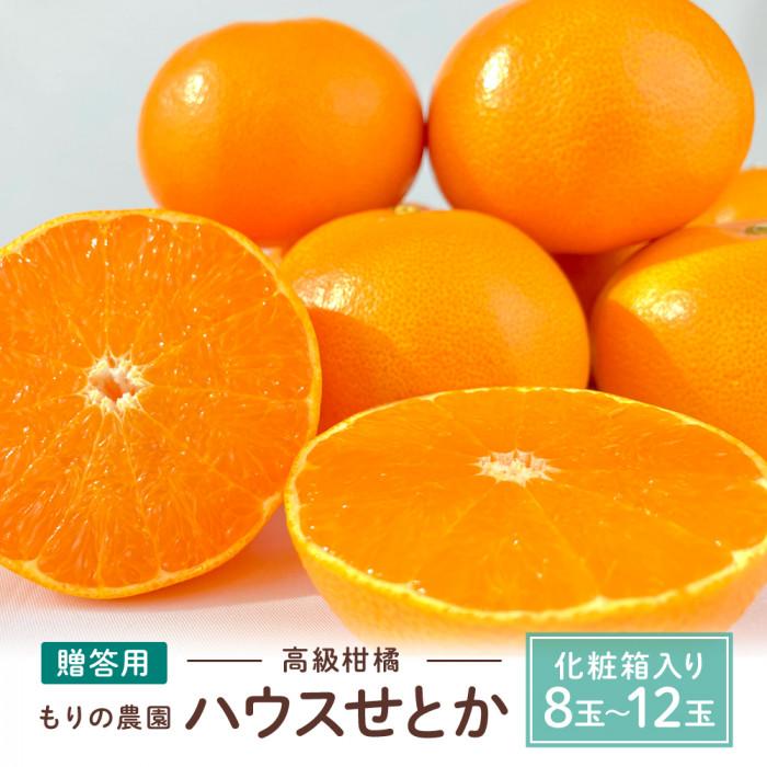 【ふるさと納税】高級柑橘 贈答用ハウスせとか化粧箱8玉～12玉 2027年2月中旬～発送予定 | みかん せとか 柑橘 果物 フルーツ 産地直送 送料無料 人気 おすすめ 瀬戸内 広島県 尾道市