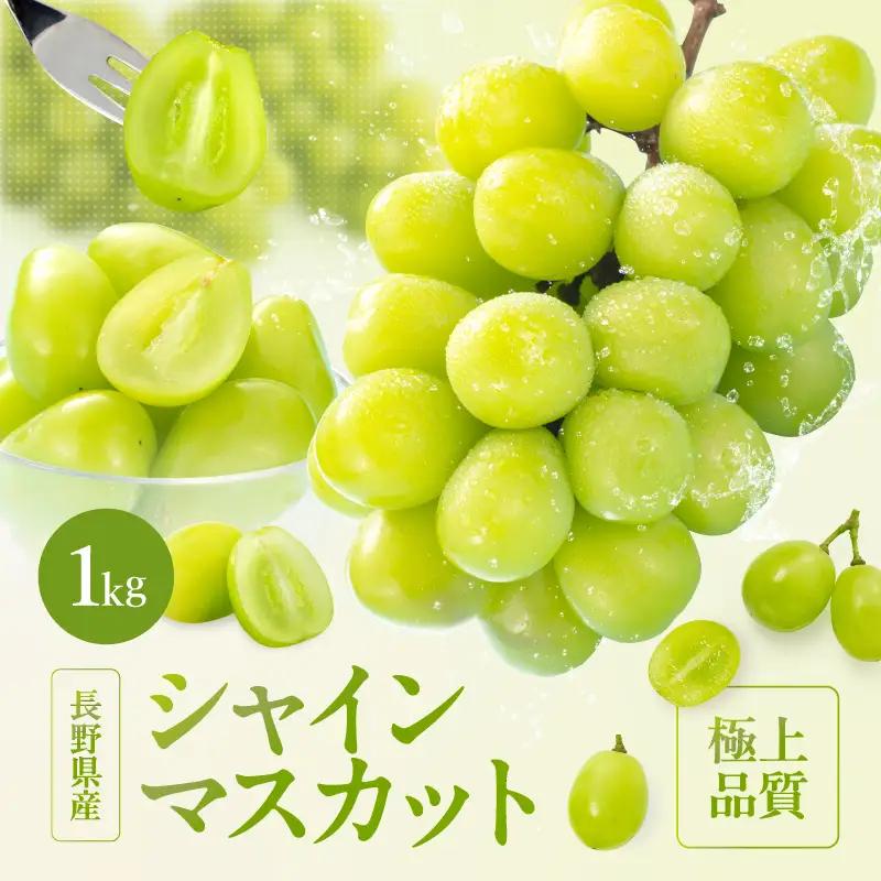 長野県産 シャインマスカット 秀品 約1kg〈2026年9月下旬～11月上旬発送〉| 長野県 飯田市