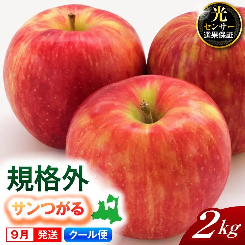 【2026年9月発送】【規格外】 りんご サンつがる 2kg 光センサー選果保証 青森県産 りんご