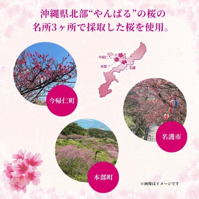 【期間限定・オリオンビール】オリオン いちばん桜 1ケース(350ml×24本)【1571415】