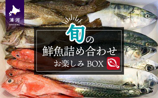 
                  『キンキ入り』漁協厳選！鮮魚お楽しみBOX※不在日・日付指定対応不可※[02-830]
                