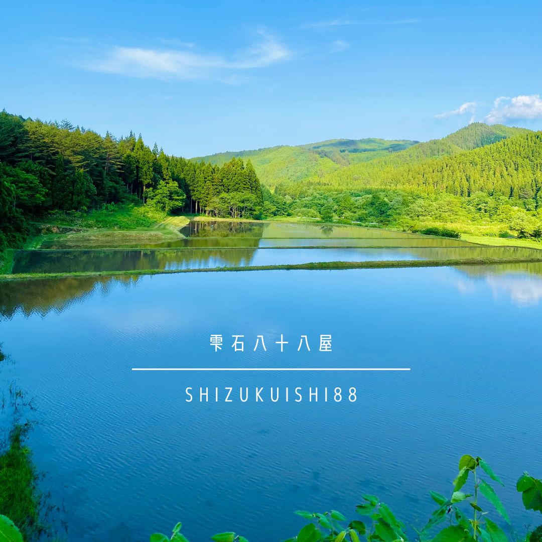 【2025年11月下旬発送開始】 新米 大粒厳選 ひとめぼれ 精米 10kg 【雫石八十八屋】 節減対象農薬：岩手県地域比5割減 化学肥料（窒素成分）：岩手県地域比5割減 ／ 米 白米