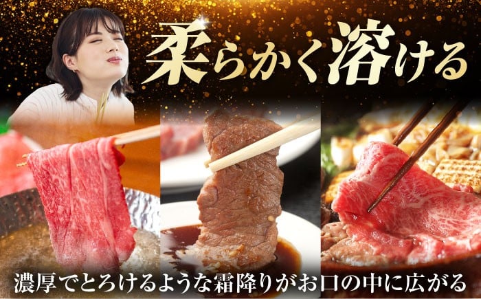 定期便 飛騨牛 モモ・肩肉  しゃぶしゃぶ 焼肉 すき焼き 牛肉 飛騨牛 和牛 白川町