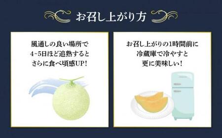 【先行予約】 大玉 ラブコールメロン 3玉  数量限定 メロン メロン メロン メロン メロン はぎわらファーム
