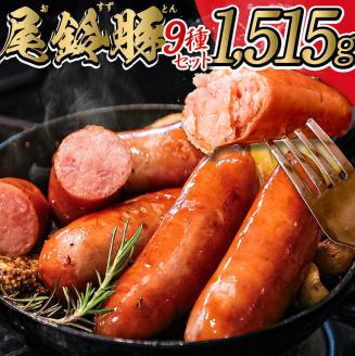 【PREMIUM PORK】尾鈴豚ハム・ソーセージ 詰め合わせ ９種　肉豚肉惣菜豚肉豚国産豚肉宮崎県産豚肉詰め合わせ豚肉送料無料豚肉[E9207]