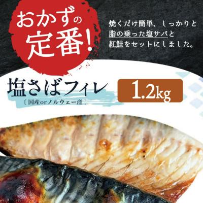 ふるさと納税 北山村 【ご家庭用訳あり】人気の塩さばフィレ&紅鮭切身セット計2kg【uot797C】 |  | 01