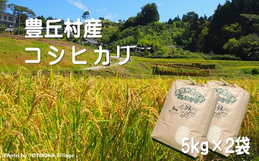 A-70 豊丘のお米！コシヒカリ計10kg（5kg×2）※令和6年産 新米※　10月以降発送開始