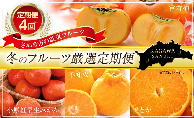 
【定期便全4回】さぬき市冬のフルーツ厳選定期便【旬 人気 果物 くだもの 香川県 さぬき市】
