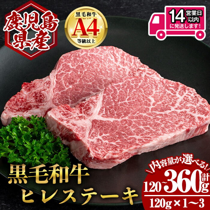 【ふるさと納税】＜14営業日以内発送！＞＜選べる内容量！＞鹿児島県産黒毛和牛ヒレステーキ (計120g～360g・120g×1～3) 国産 鹿児島 鹿児島県産 黒毛和牛 牛肉 牛 A4等級以上 A4 ヒレ ヒレステーキ ステーキ お肉 冷凍【肉のちょーさん】
