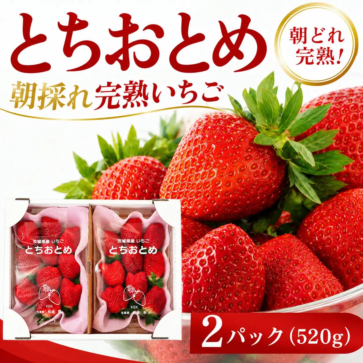 いちご とちおとめ 260g 2パック いちご