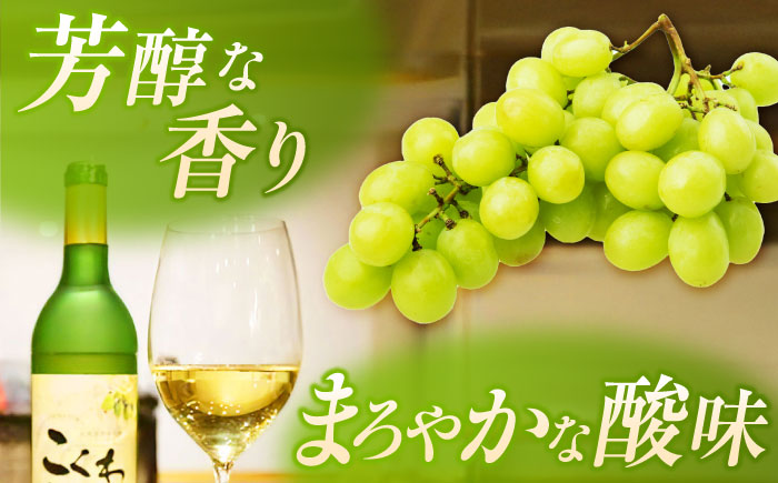 こくわワイン 白ワイン（辛口）720ml×2 《厚真町》　【とまこまい広域農業協同組合】酒 お酒 ワイン わいん 北海道 ギフト お取り寄せ　[AXAB043] 13000 13000円