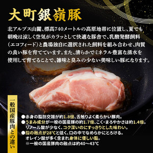 大町銀嶺豚 バラ１kg (約500ｇ・2パック)｜ 豚肉 ぶた肉
