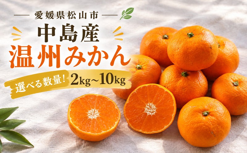 
                  【2026年11月下旬頃から順次発送】温州みかん 2kg / 5kg / 10kg | みかん 柑橘 フルーツ チョイス 限定 愛媛 松山 農音
                