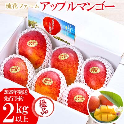 【ふるさと納税】【2026年発送先行予約】アップルマンゴー優品2kg以上 沖縄 おきなわ まんごー 優品 家庭用 先行予約 ふるさと納税 送料無料 甘味 糖度 おいしい お土産 アーウィン 果物 くだもの 果実 2キロ 箱入り 食べ物 フルーツ