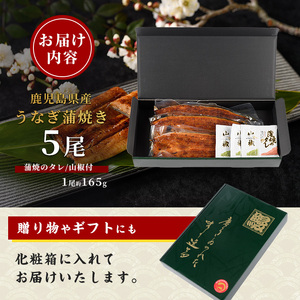 うなぎ 蒲焼 5尾 約825g 鹿児島県産 うなぎ IB021-002 