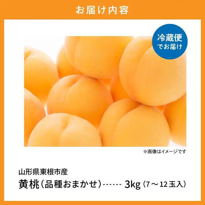 【2026年産】採れたて黄桃(品種お任せ)約3kg (7～12玉)もも