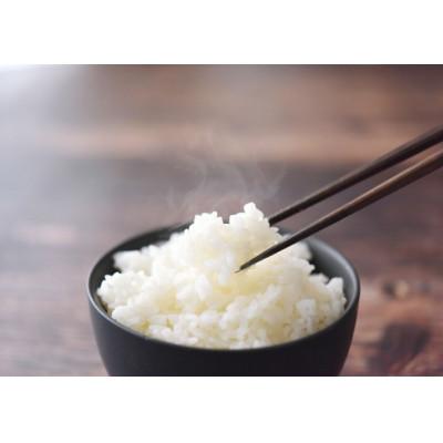 ふるさと納税 新庄市 《先行受付》2026年1月発送予定 山形県産米 はえぬき5kg |  | 03